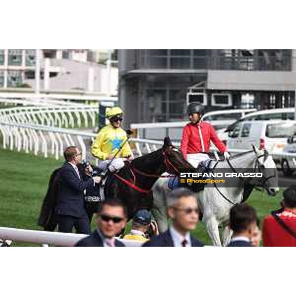 Longines Hong Kong International Races of Hong Kong - - Hong Kong, Sha Tin - 10 December 2023 - ph.Stefano Grasso/Longines Zac Purton on Lucky Sweynesse wins the Longines Hong Kong Sprint