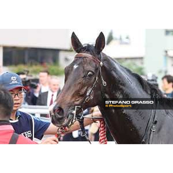 Longines Hong Kong International Races of Hong Kong - - Hong Kong, Sha Tin - 10 December 2023 - ph.Stefano Grasso/Longines Vincent Ho on Golden Sixty wins the Longines Hong Kong Mile