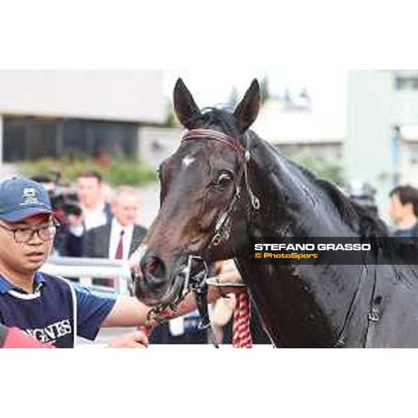 Longines Hong Kong International Races of Hong Kong - - Hong Kong, Sha Tin - 10 December 2023 - ph.Stefano Grasso/Longines Vincent Ho on Golden Sixty wins the Longines Hong Kong Mile