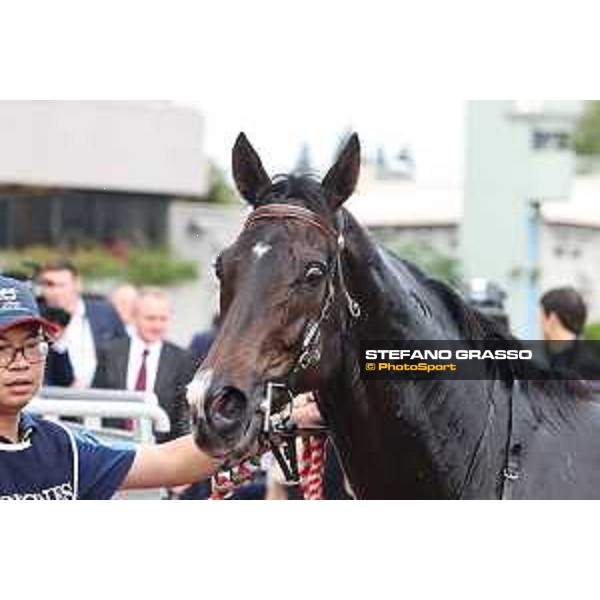 Longines Hong Kong International Races of Hong Kong - - Hong Kong, Sha Tin - 10 December 2023 - ph.Stefano Grasso/Longines Vincent Ho on Golden Sixty wins the Longines Hong Kong Mile