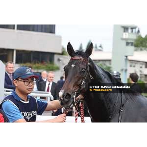 Longines Hong Kong International Races of Hong Kong - - Hong Kong, Sha Tin - 10 December 2023 - ph.Stefano Grasso/Longines Vincent Ho on Golden Sixty wins the Longines Hong Kong Mile