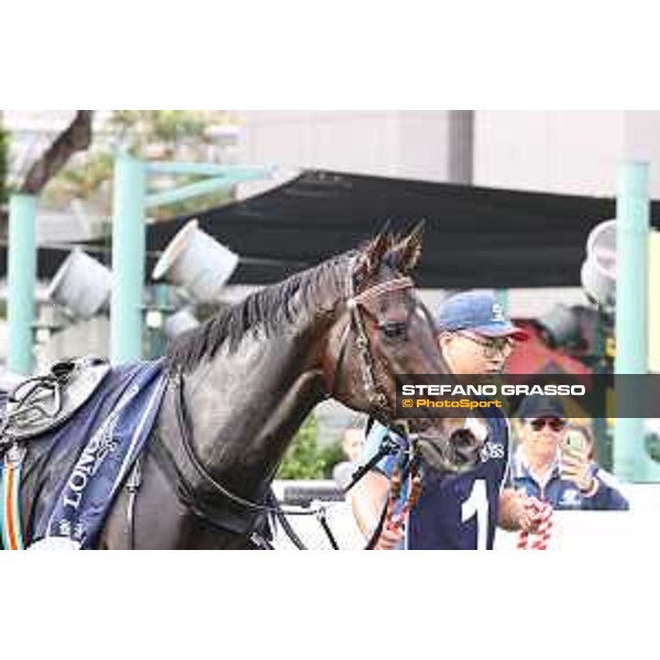 Longines Hong Kong International Races of Hong Kong - - Hong Kong, Sha Tin - 10 December 2023 - ph.Stefano Grasso/Longines Vincent Ho on Golden Sixty wins the Longines Hong Kong Mile