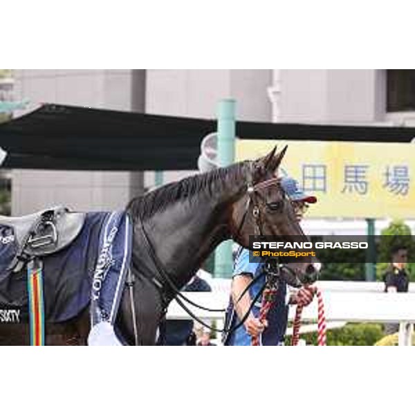 Longines Hong Kong International Races of Hong Kong - - Hong Kong, Sha Tin - 10 December 2023 - ph.Stefano Grasso/Longines Vincent Ho on Golden Sixty wins the Longines Hong Kong Mile