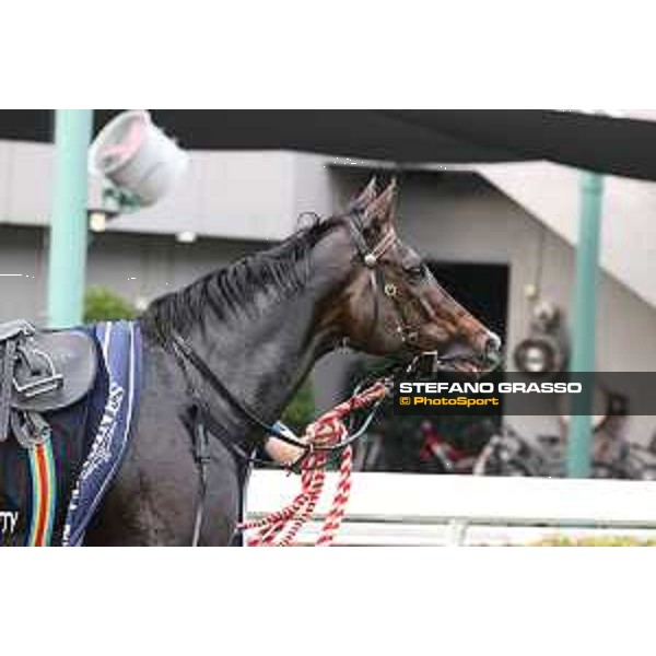 Longines Hong Kong International Races of Hong Kong - - Hong Kong, Sha Tin - 10 December 2023 - ph.Stefano Grasso/Longines Vincent Ho on Golden Sixty wins the Longines Hong Kong Mile