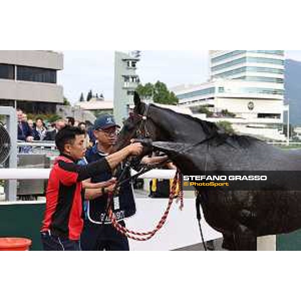 Longines Hong Kong International Races of Hong Kong - - Hong Kong, Sha Tin - 10 December 2023 - ph.Stefano Grasso/Longines Vincent Ho on Golden Sixty wins the Longines Hong Kong Mile