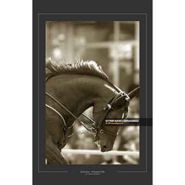 Varenne - Stockholm Elitloppet 2002 Ph.© Stefano Grasso