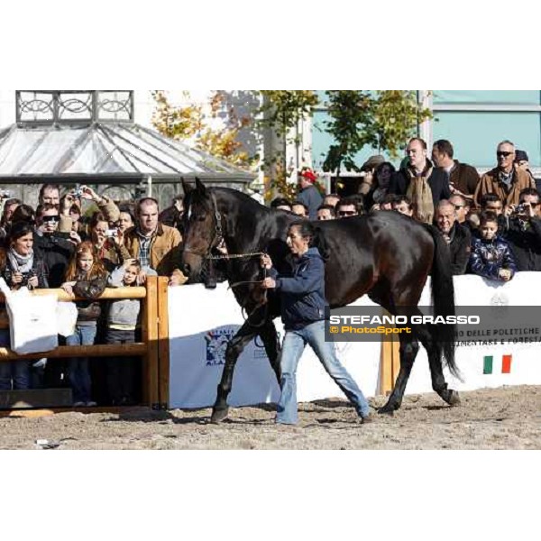 Varenne at Fieracavalli 2009 Verona,7th nov. 2009 ph. Fieracavalli/Stefano Grasso