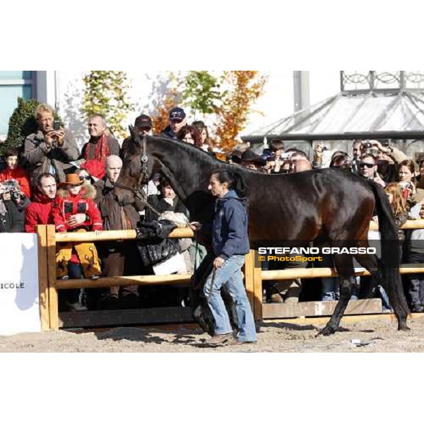 Varenne at Fieracavalli 2009 Verona,7th nov. 2009 ph. Fieracavalli/Stefano Grasso