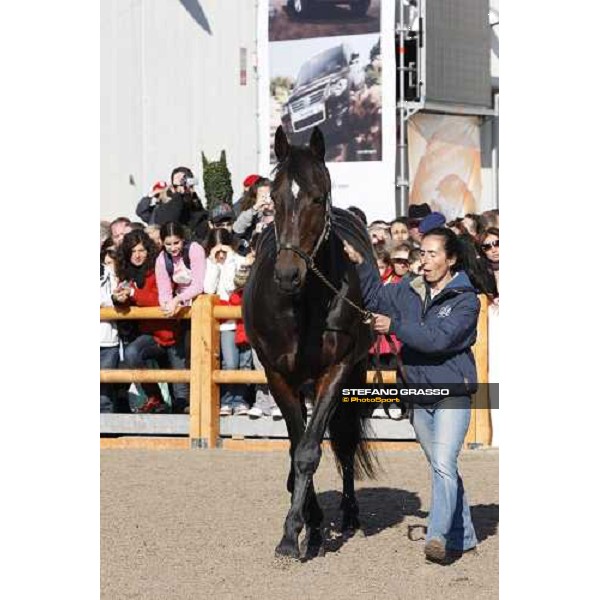Varenne at Fieracavalli 2009 Verona,7th nov. 2009 ph. Fieracavalli/Stefano Grasso
