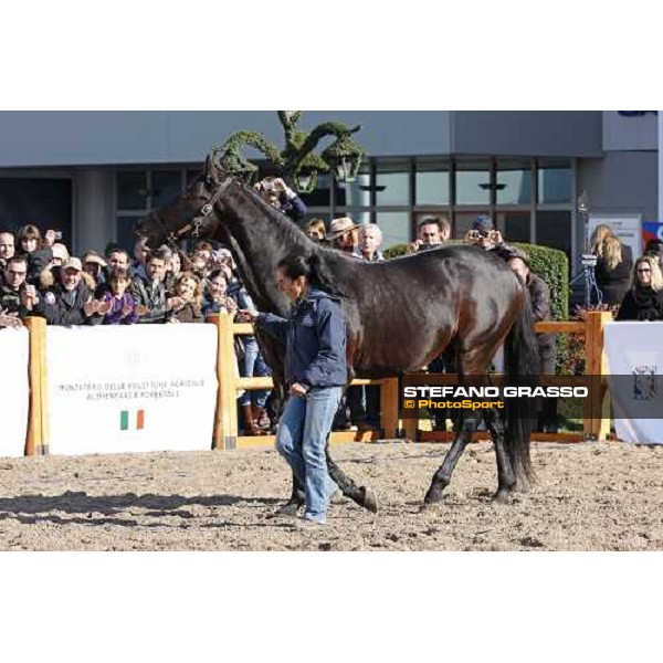 Varenne at Fieracavalli 2009 Verona,7th nov. 2009 ph. Fieracavalli/Stefano Grasso