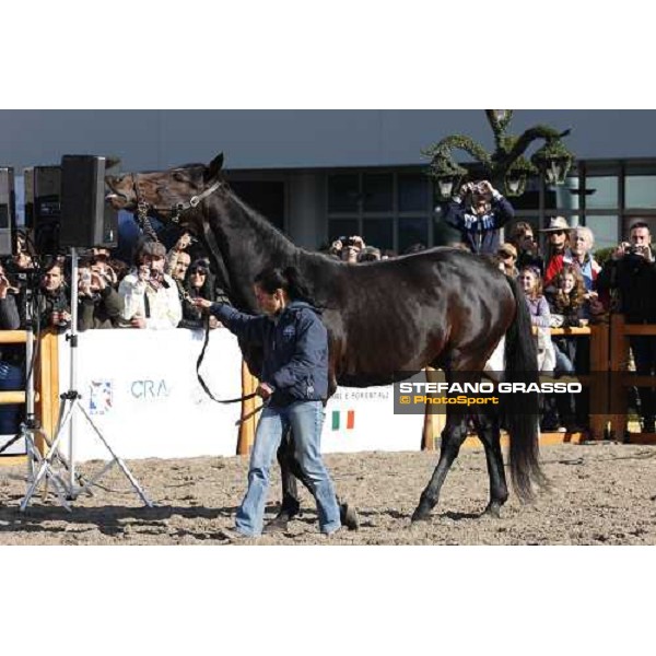 Varenne at Fieracavalli 2009 Verona,7th nov. 2009 ph. Fieracavalli/Stefano Grasso
