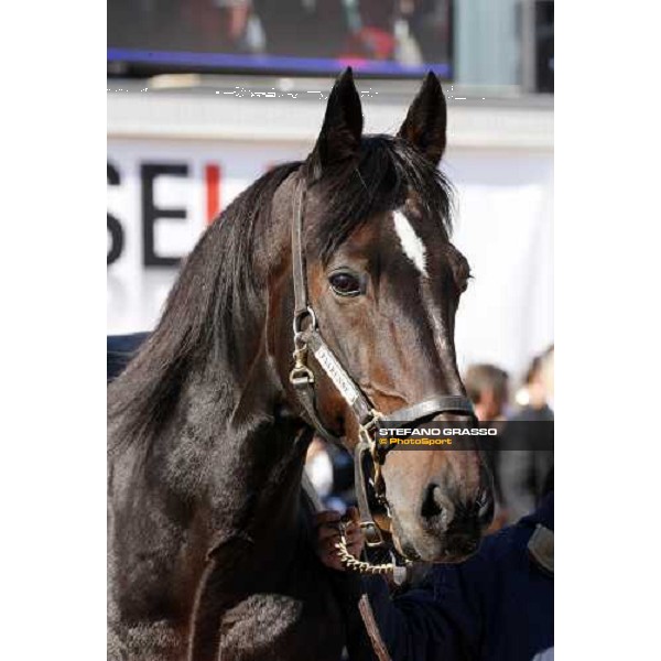 Varenne at Fieracavalli 2009 Verona,7th nov. 2009 ph. Fieracavalli/Stefano Grasso