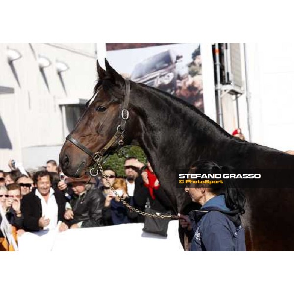 Varenne at Fieracavalli 2009 Verona,7th nov. 2009 ph. Fieracavalli/Stefano Grasso