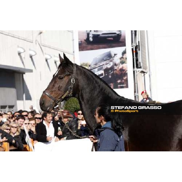 Varenne at Fieracavalli 2009 Verona,7th nov. 2009 ph. Fieracavalli/Stefano Grasso