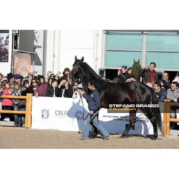 Varenne at Fieracavalli 2009 Verona,7th nov. 2009 ph. Fieracavalli/Stefano Grasso
