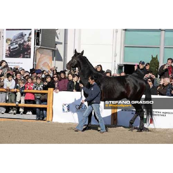 Varenne at Fieracavalli 2009 Verona,7th nov. 2009 ph. Fieracavalli/Stefano Grasso