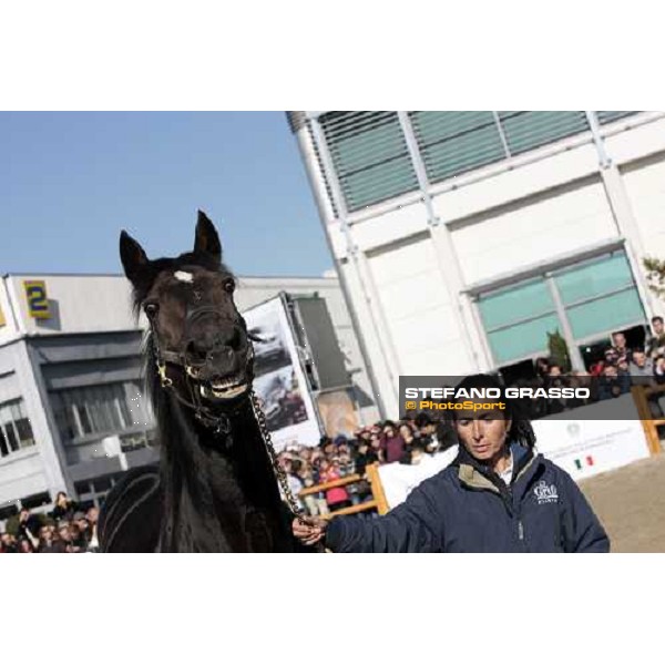 Varenne at Fieracavalli 2009 Verona,7th nov. 2009 ph. Fieracavalli/Stefano Grasso