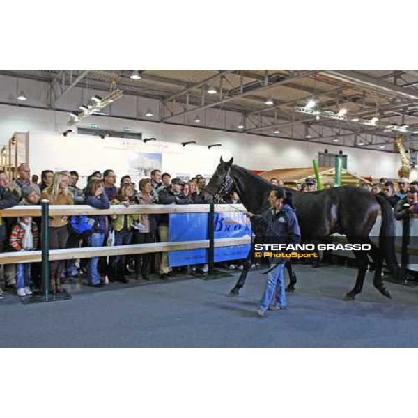 Varenne at Fieracavalli 2009 Verona,7th nov. 2009 ph. Fieracavalli/Stefano Grasso