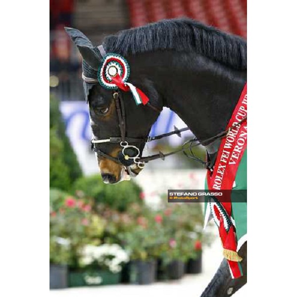 a close up for Insultech Amai winner of the Jumping Verona - Rolex Fei World Cup tm 2009 Verona, 8th nov. 2009 ph.Fieracavalli/Stefano Grasso