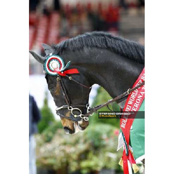 Insultech Amai winner of the Jumping Verona - Rolex Fei World Cup tm 2009 Verona, 8th nov. 2009 ph.Fieracavalli/Stefano Grasso