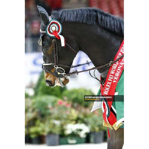 a close up for Insul Tech Amai winner of the Jumping Verona - Rolex Fei World Cup tm 2009 Verona, 8th nov. 2009 ph.Fieracavalli/Stefano Grasso