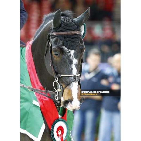 a close up for Insul Tech Amai after winning the Jumping Verona - Rolex Fei World Cup tm 2009 Verona, 8th nov. 2009 ph.Fieracavalli/Stefano Grasso