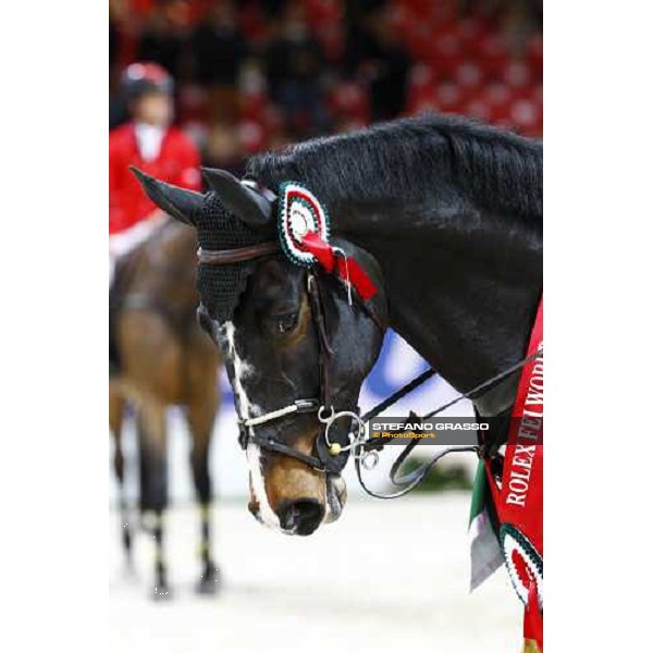a close up for Insul Tech Amai after winning the Jumping Verona - Rolex Fei World Cup tm 2009 Verona, 8th nov. 2009 ph.Fieracavalli/Stefano Grasso