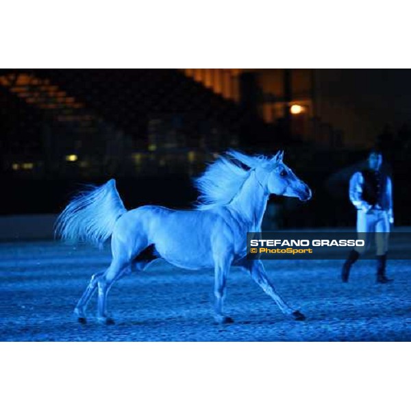 Horselyric 2009 Fieracavalli 2009 Verona, 7th nov. 2009 ph. Fieracavalli/Stefano Grasso
