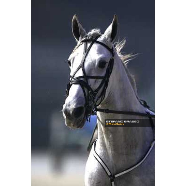 close up for Miele d\' Alfa Milan San Siro, 15th nov. 2009 ph. Stefano Grasso