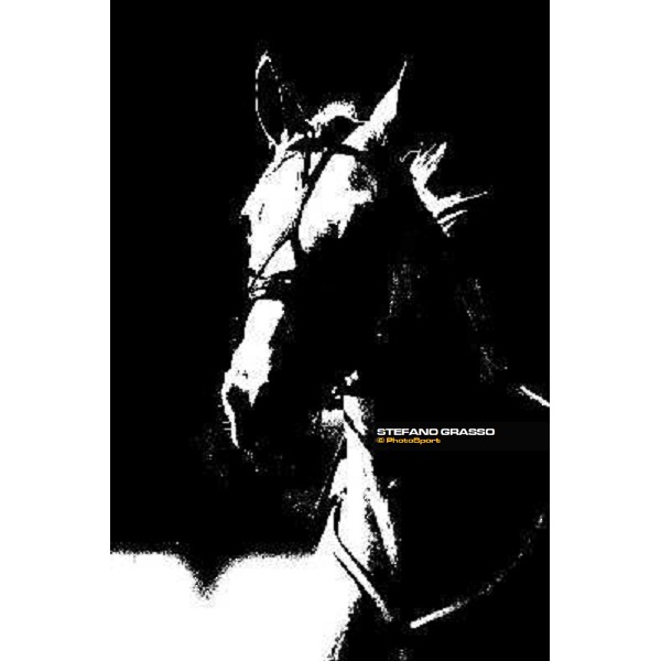 close up for Miele d\' Alfa Milan San Siro, 15th nov. 2009 ph. Stefano Grasso
