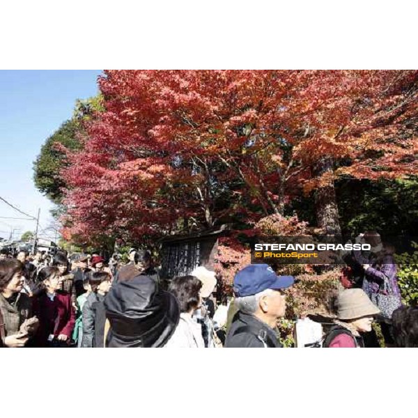 a day at Kamakura Kamakura - Kanagawa, 28th nov. 2009 ph. Stefano Grasso