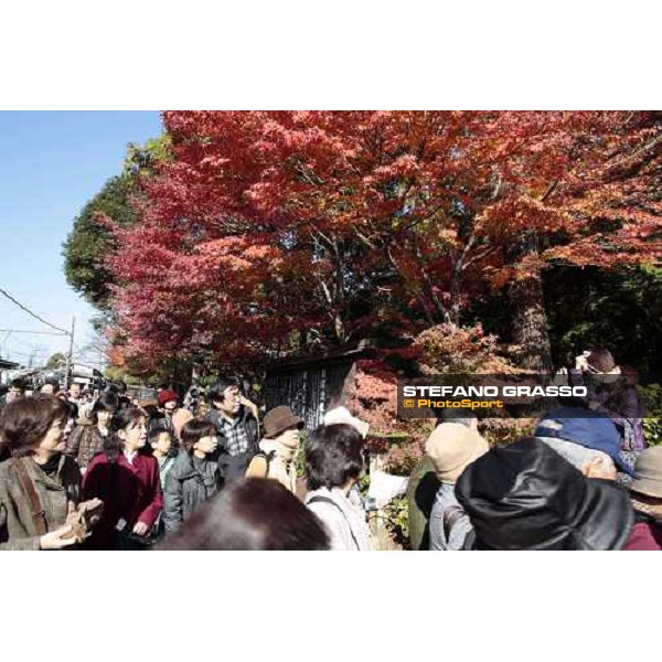 a day at Kamakura Kamakura - Kanagawa, 28th nov. 2009 ph. Stefano Grasso