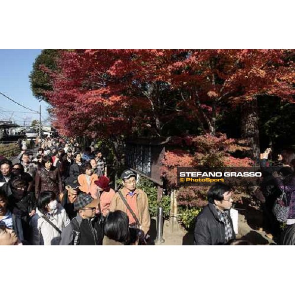 a day at Kamakura Kamakura - Kanagawa, 28th nov. 2009 ph. Stefano Grasso