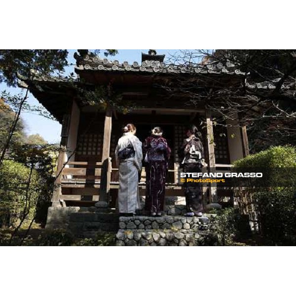 a day at Kamakura Kamakura - Kanagawa, 28th nov. 2009 ph. Stefano Grasso