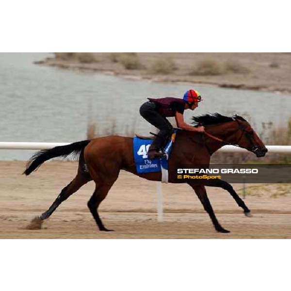 \'Frankie Dettori cantering on Sulamani at Al Quoz Dubai march 26 2003-ph.Stefano Grasso\' 