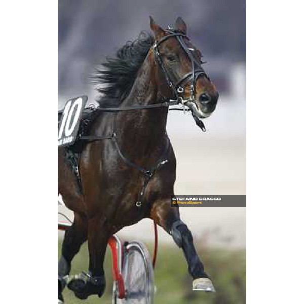 Le Touquet warming up at San Siro Milan San Siro, 24th january 2010 ph. Stefano Grasso