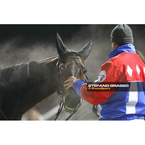 Island Effe and Harry Rantanen after winning the Gran Premio Mario Locatelli Milan San Siro, 24th january 2010 ph. Stefano Grasso
