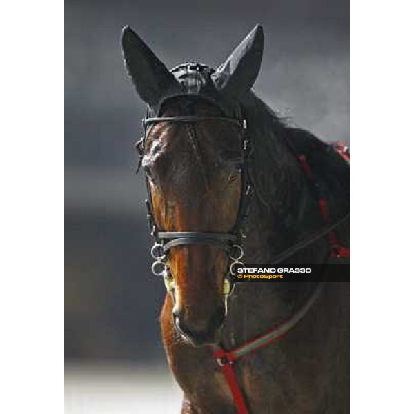a close up for Island Effe Milan San Siro, 24th january 2010 ph. Stefano Grasso