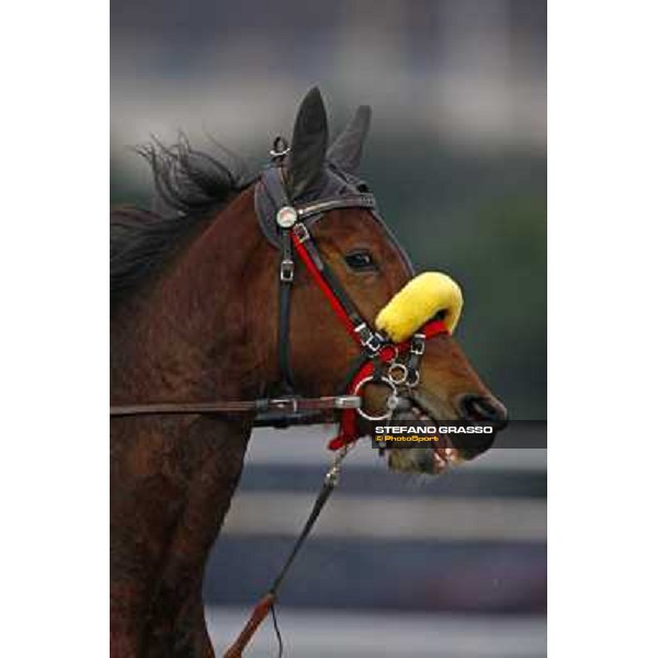 a close up for Nevera Milan San Siro, 24th january 2010 ph. Stefano Grasso