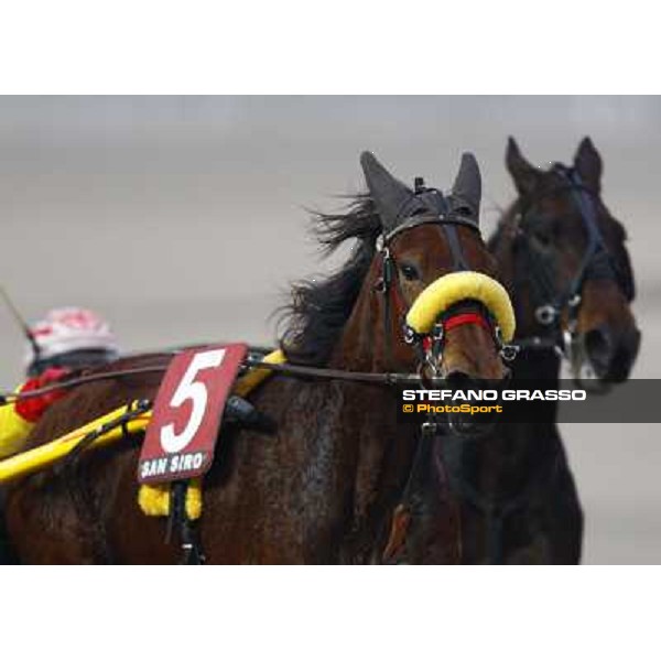 a close up for Nevera Milan San Siro, 24th january 2010 ph. Stefano Grasso