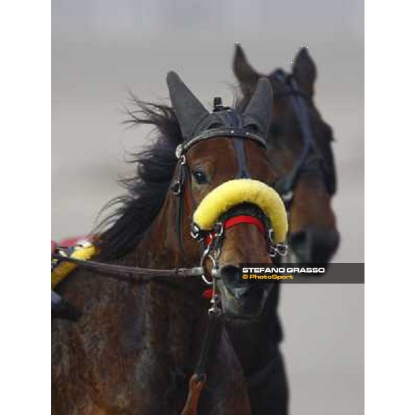 a close up for Nevera Milan San Siro, 24th january 2010 ph. Stefano Grasso