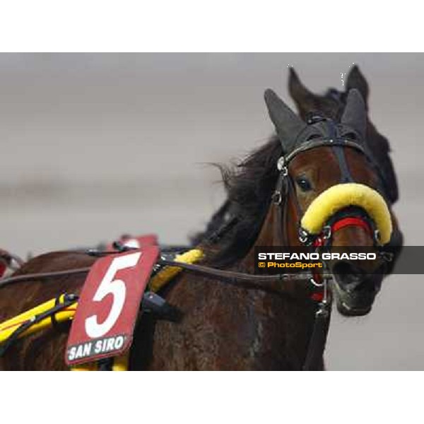 a close up for Nevera Milan San Siro, 24th january 2010 ph. Stefano Grasso