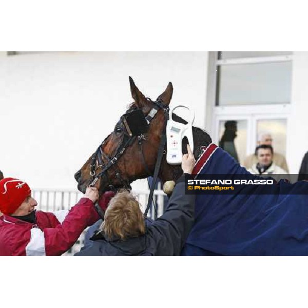 the identity test for Ismos Fp after winning the Prix du Luxembourg Paris Vincennes, 30th january 2010 ph. Stefano Grasso