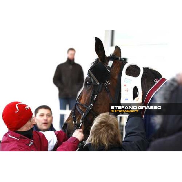 the identity test for Ismos Fp after winning the Prix du Luxembourg Paris Vincennes, 30th january 2010 ph. Stefano Grasso