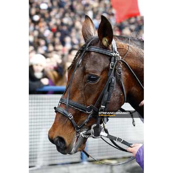 Sebastien Ernault with Oyonnax wins the Prix d\' Amerique Marionnaud beating Quaker Jet and Meaulnes du Corta Paris Vincennes, 31st january 2010 ph.Stefano Grasso