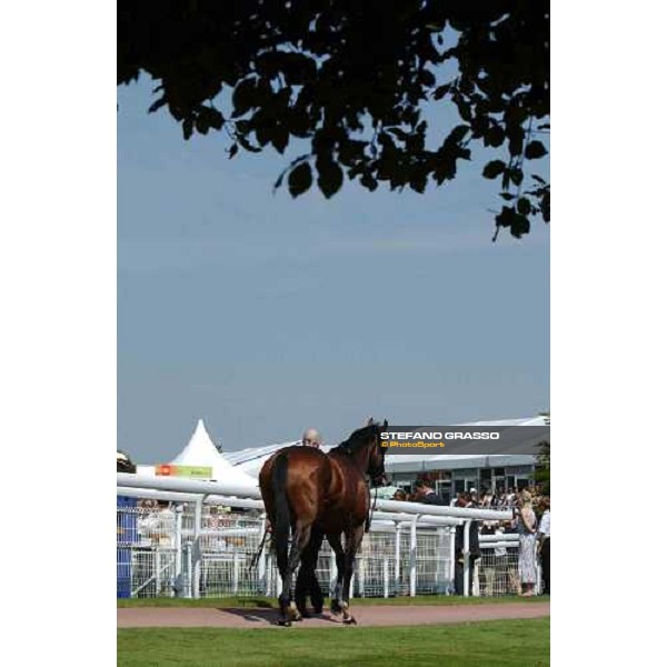 Le Vie dei Colori with groom Gary Smith in the unsaddling ring The Cantor Odds Sussex Stakes Glorious Goodwood 28 th july 2004 ph. Stefano Grasso