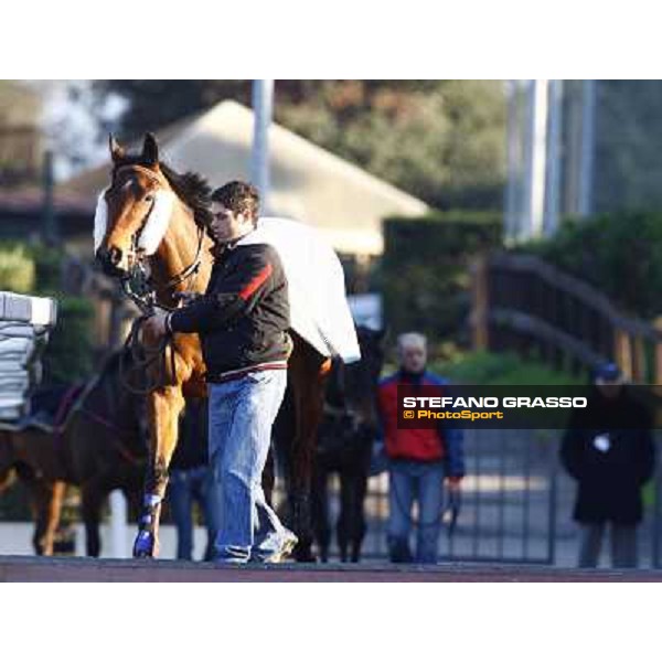 Luci a Capannelle parading before the Premio Criterium d\' Inverno Rome, 7th february 2010 ph. Stefano Grasso