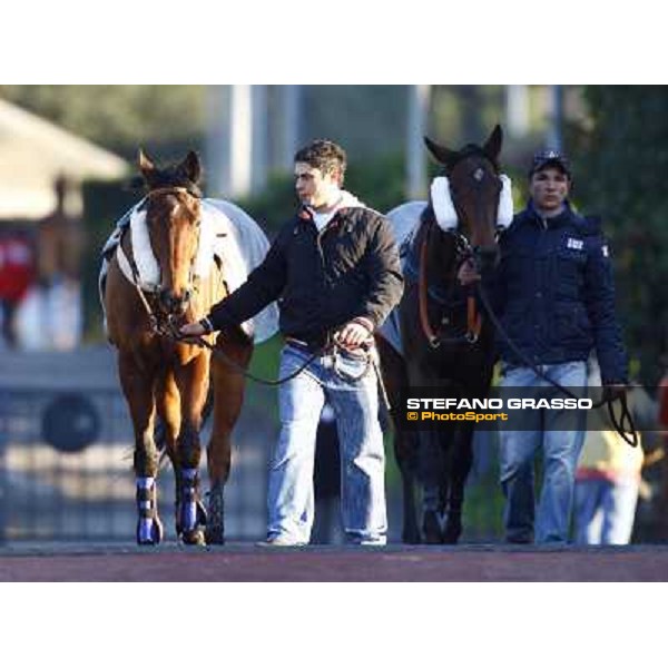 Luci a Capannelle parading before the Premio Criterium d\' Inverno Rome, 7th february 2010 ph. Stefano Grasso
