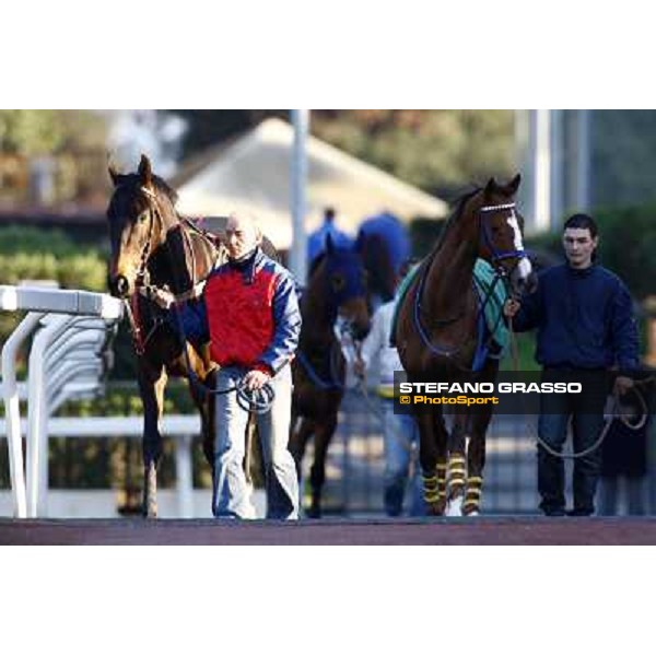 Invincible Joy parading before the Premio Criterium d\' Inverno Rome, 7th february 2010 ph. Stefano Grasso