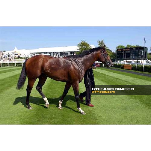 Le Vie dei Colori The Cantor Odds Sussex Stakes Glorious Goodwood 28 th july 2004 ph. Stefano Grasso